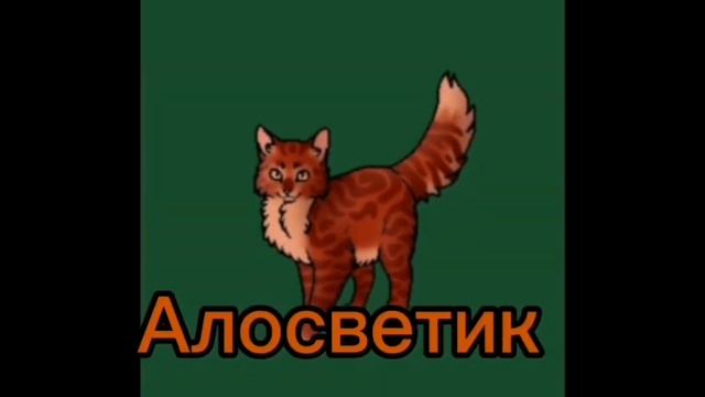 коты воители на букву а. какая буква следующая?