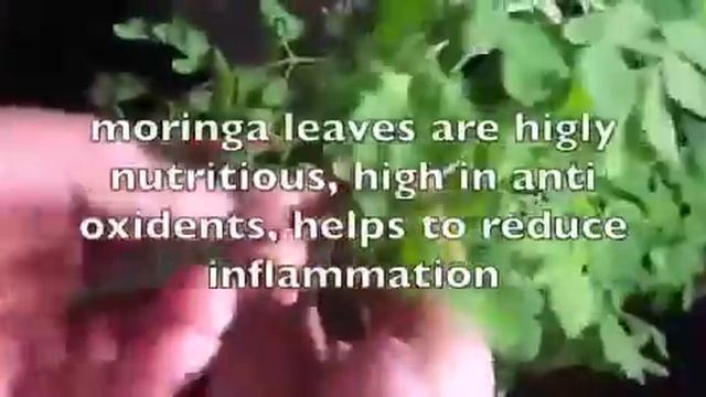 299a068c6d371d8bae0548609e006d7f