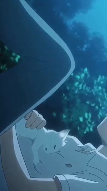 4099c3e4a94ab56938d3e0c3b939ab12