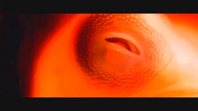 Fritzz  - Do You Remember?