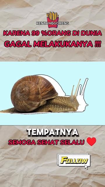 343108680a89284a01cd9d56f8bfcc61