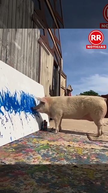 Cerdo Vende Obra De Arte Por Más De Medio Millón