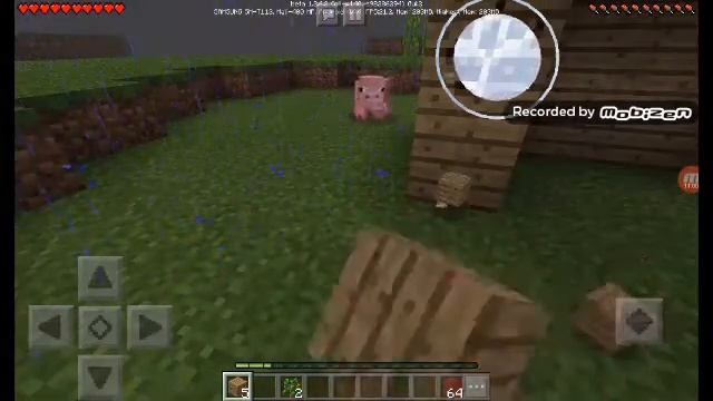 Моя подруга указывает животных и играет в  выживание.