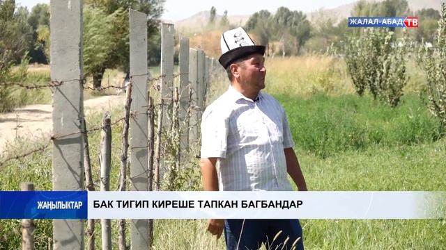 Бак тигип киреше тапкан багбандар