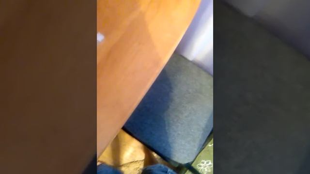 02e29288bd1f6b3c537ae5483ced4b2a