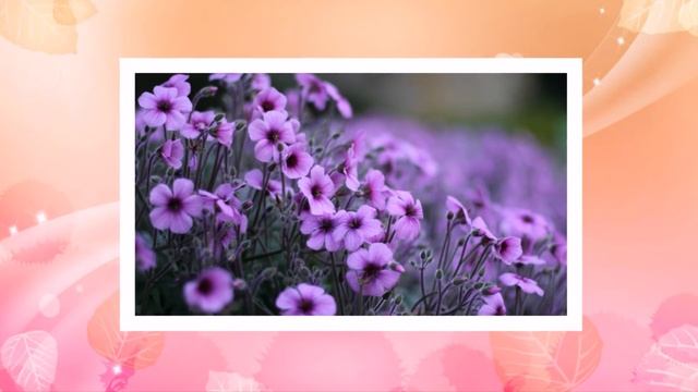 С праздником, 8 Марта!