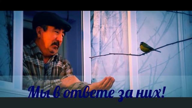 Мы в ответе за них!