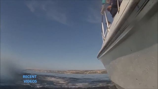 9cd6da2e4d2fe44cce950f3a62731caf