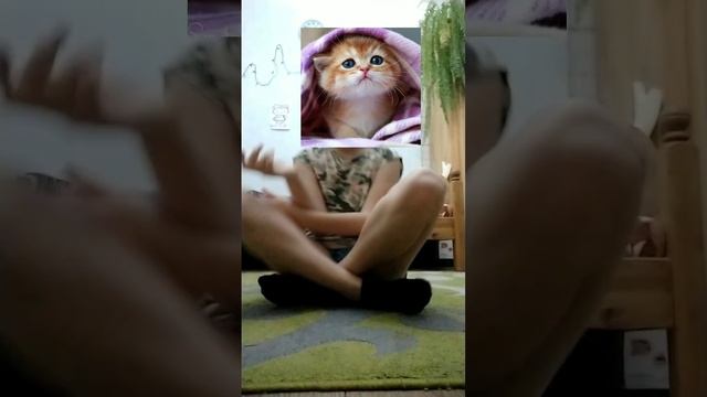 квадробика ✨