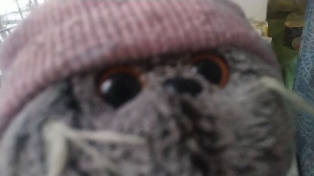 поливаем цветы🪴🌺🪴