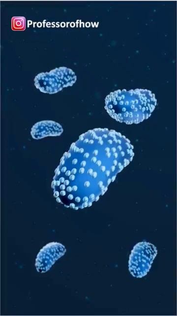 How Monkeypox Virus KILLS? (3D Animation) #shorts