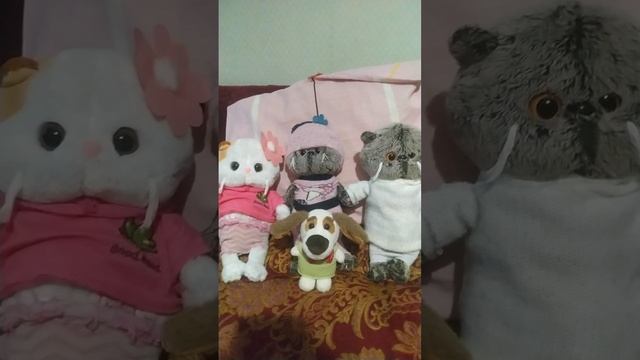 передаём приветы✋