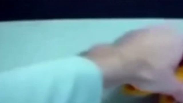 Прикол с собакой. Заводная собака