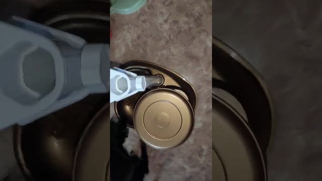 интерактивная игрушка и автокормушка для собак