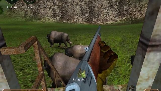 Bison Hunt
