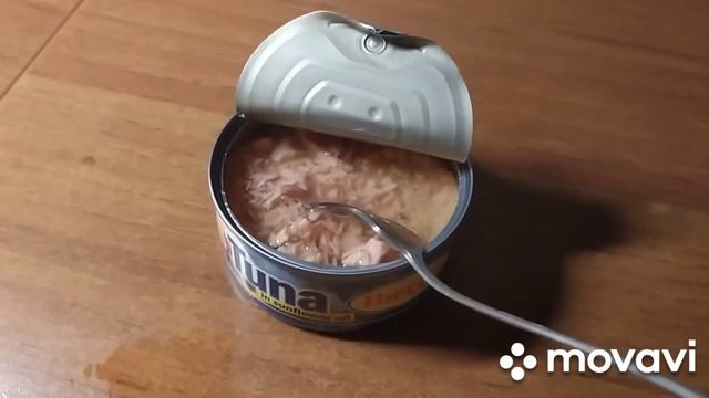 Cd8b9d0d020b0615ae219bcb981741fc