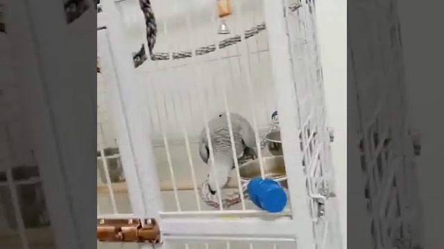 54e9f7cb31773ed777bf123ce2f7bcbd