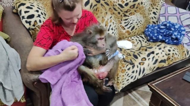 Обезьянки. Банный день , отмываем от лекарств Гошу, Маруся полюбила ванную.Купаем по очереди ☺🥰👍