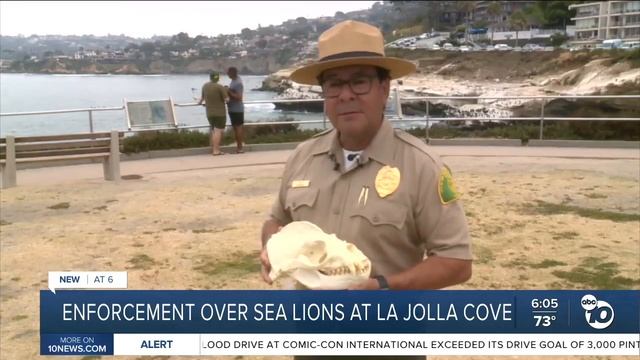 Enforcement over sea lions at La Jolla Cove