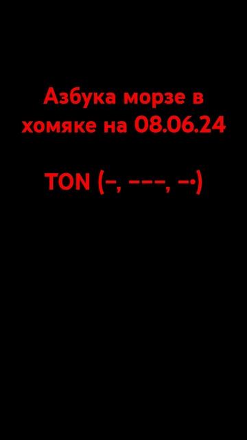 азбука морзе в хомяке на 08.06.24 #hamsterkombat #morze #08062024 #combo #hamster