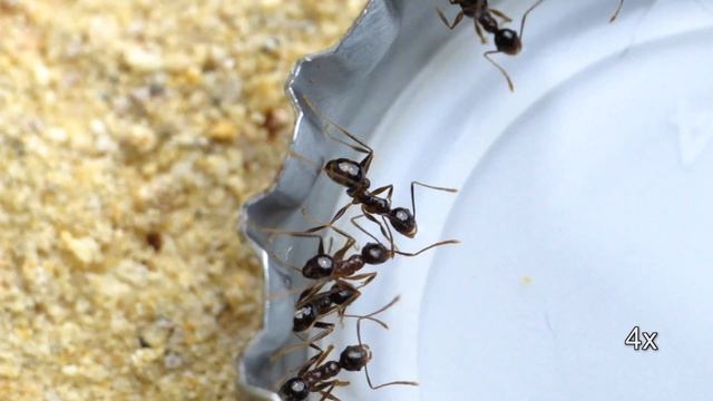 37c5867d932b5e8df88e47b1ef012afb