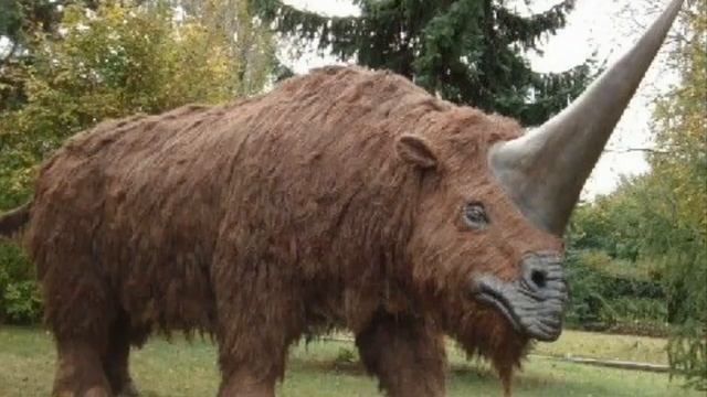 Elasmotheriun ( Rinoceronte Pré Histórico )