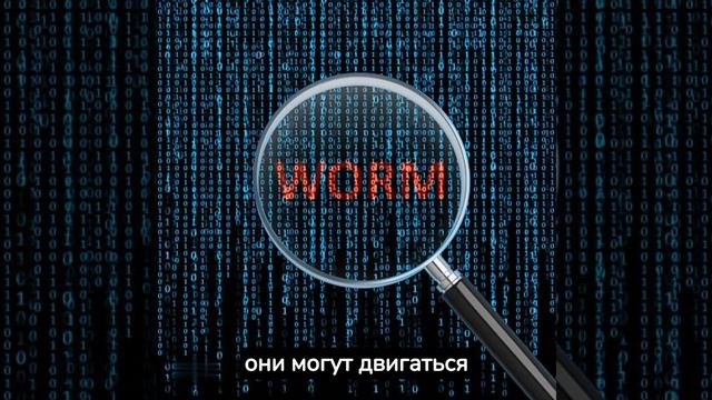 Что такое Компьютерный червь?