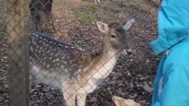 C9e010dffd6055219845461e71f143ce