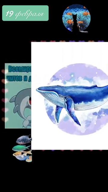 19 февраля Всемирный день китов