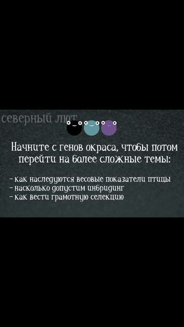 ЗАЧЕМ ФЕРМЕРУ ГЕНЕТИКА? #индоутки #жизньвдеревне #деревня #shorts  #мускусныеутки #птицы #наука