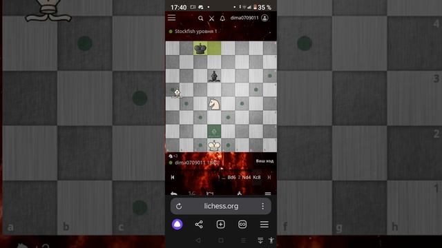 слон и конь против слона