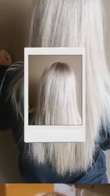 E15b365e5f57850769c762da2611425d