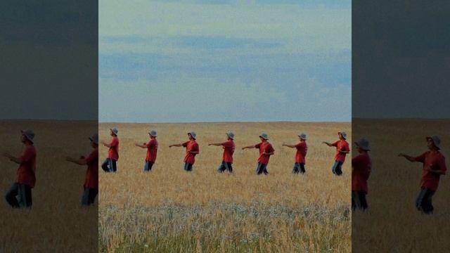 чистый пак