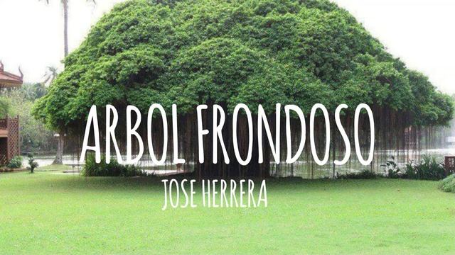 Pasillo Ecuatoriano / Árbol Frondoso / José Herrera