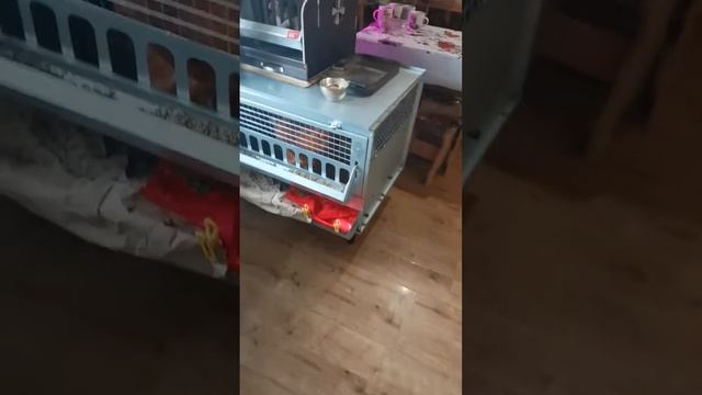 Ec6d96b83942efd439252e5fac28f333