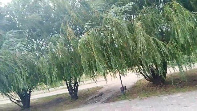 11 июля 2019 г.