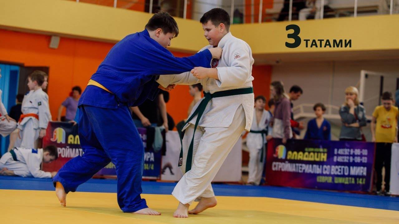 Трансляция #3 турнира по дзюдо ТВЦ 