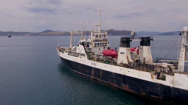 8a52e04fd95c43bd5cc37e9c943f5242