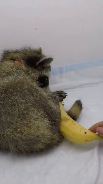 4d0d6a74df7c8055842fc32b122fd15b