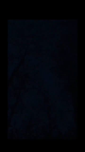 Охота на глухаря весной с подхода #глухарь #веснаохота #ток #сподхода