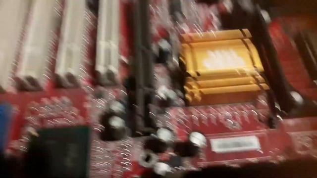 динозавр в 2020●