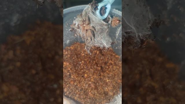 4461950324fb9afafba5b2b3dc17ccfa