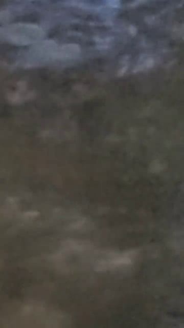Demon Frog
