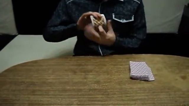 Фокус    Хамелеон Avi