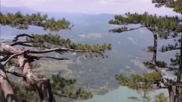 Beautiful Nature - Nacionalni Park Tara  -  Banjska Stena