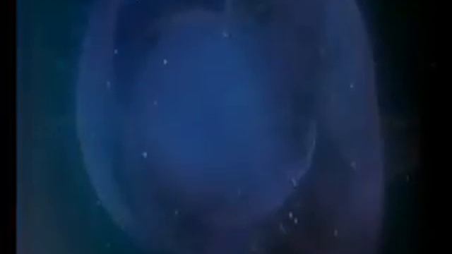 Pupilla - Day After Day