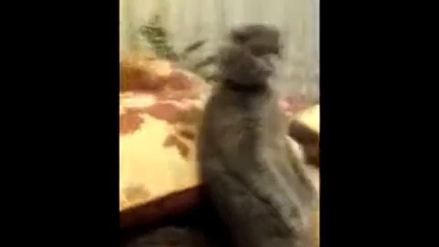 Розыгрыш 2012 года #4