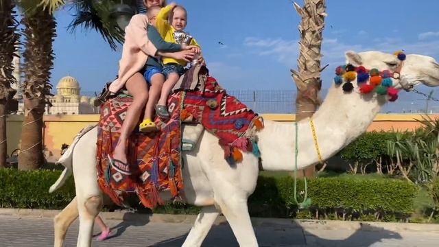 Катаемся на верблюде. Порт Хургады