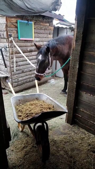 Bec95e586cf40a81d4f41c977e6229ec