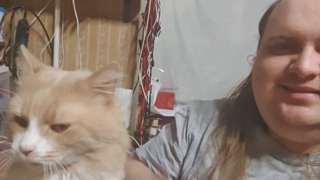 С новым годом